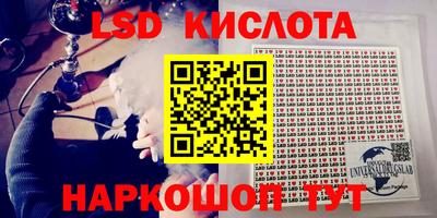 шишки Гагарин