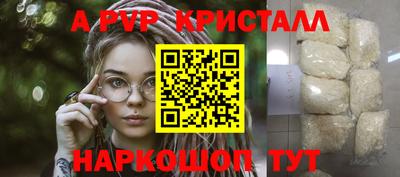 шишки Гагарин